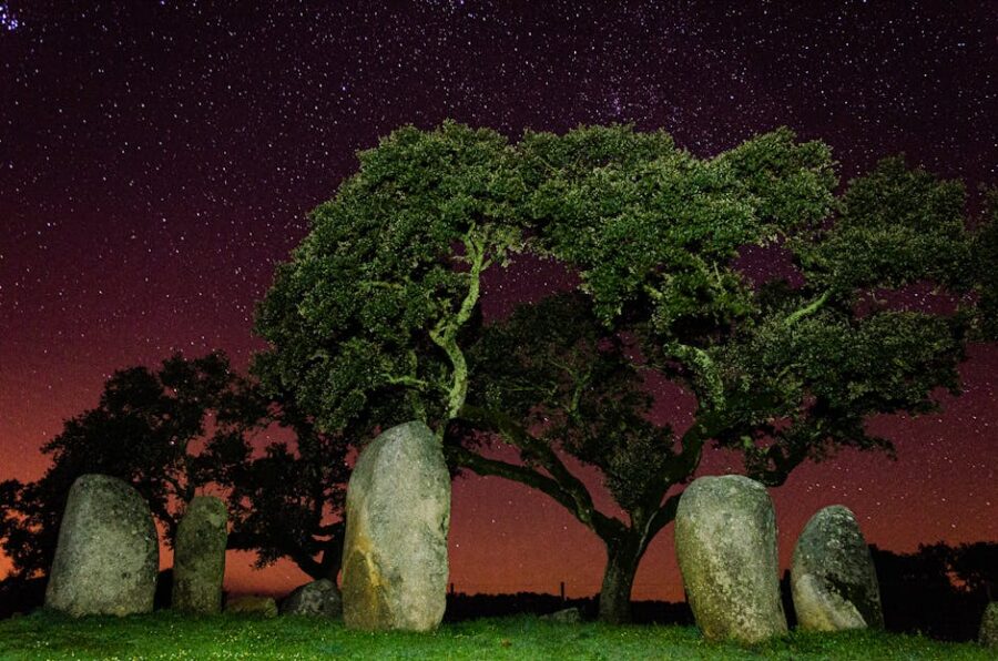 El Árbol Sagrado en la Mitología Azteca: Su Conexión con la Creación del Mundo
