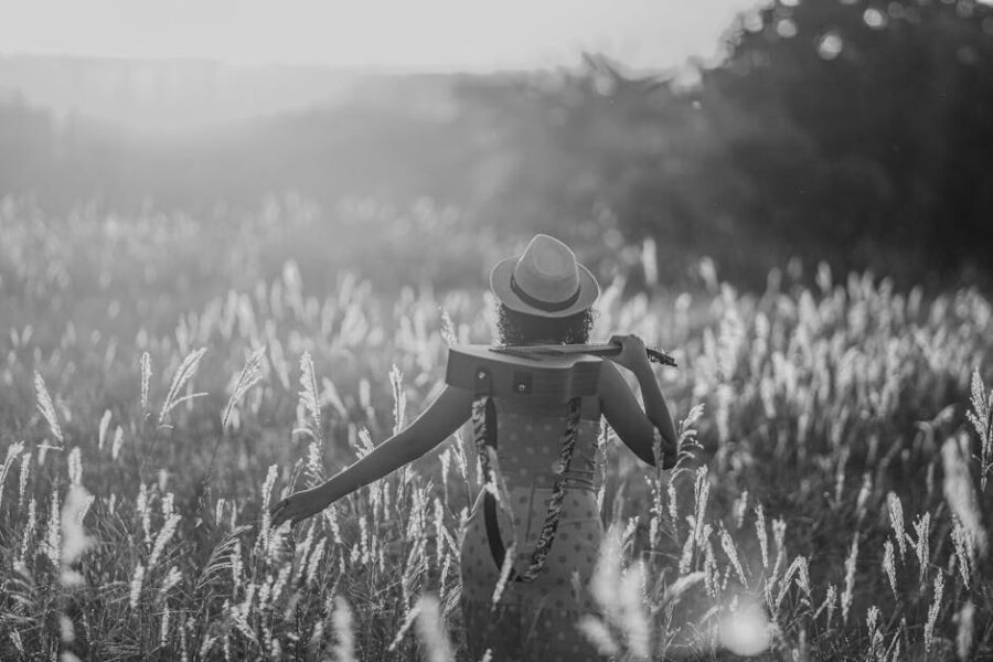 El sol: su importancia en la vida y el universo