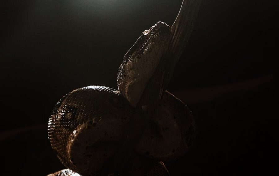 Explorando los Mitos de la Serpiente Emplumada y su Conexión con la Creación y la Vida