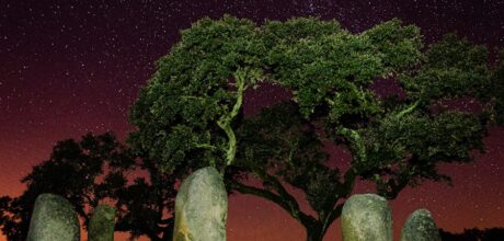El Árbol Sagrado en la Mitología Azteca: Su Conexión con la Creación del Mundo