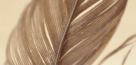 El significado de las plumas y el oro en la religión azteca