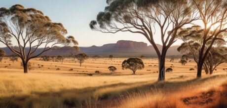 Cultura Australiana: Identidad Cultural y Diversidad